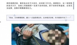 新闻爆料胚胎事件真相,真相背后的伦理争议与法律挑战