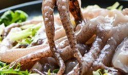 鱿鱼爆料实拍视频在线观看,鱿鱼爆料视频在线观看，惊现幕后真相